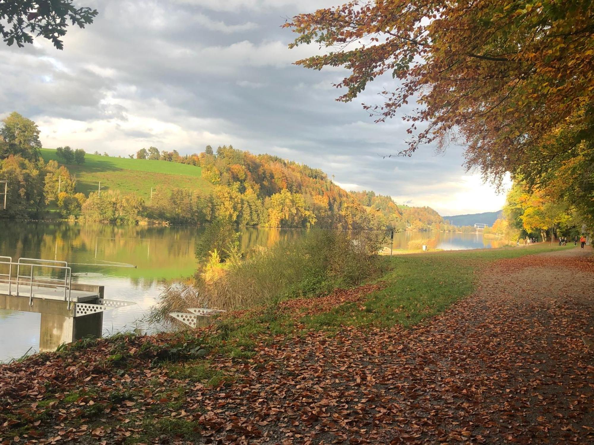 Charming Studio Near Rotsee Lucerne Kitchen/Wifi/Wasching Machine Exteriér fotografie