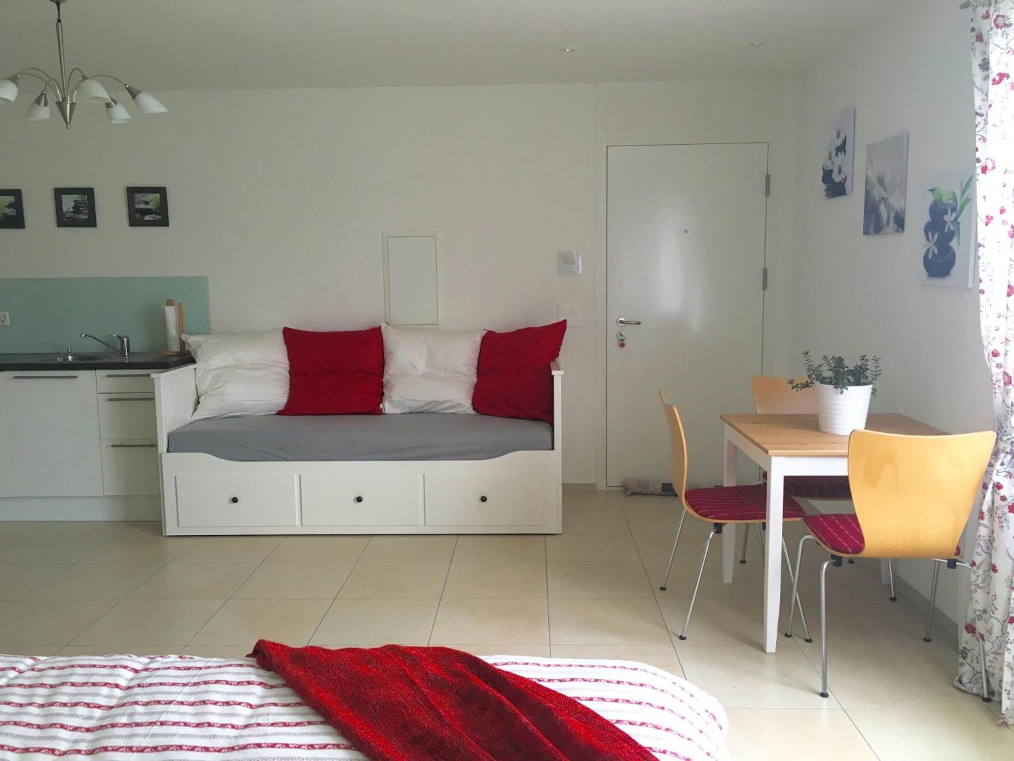 Charming Studio Near Rotsee Lucerne Kitchen/Wifi/Wasching Machine Exteriér fotografie