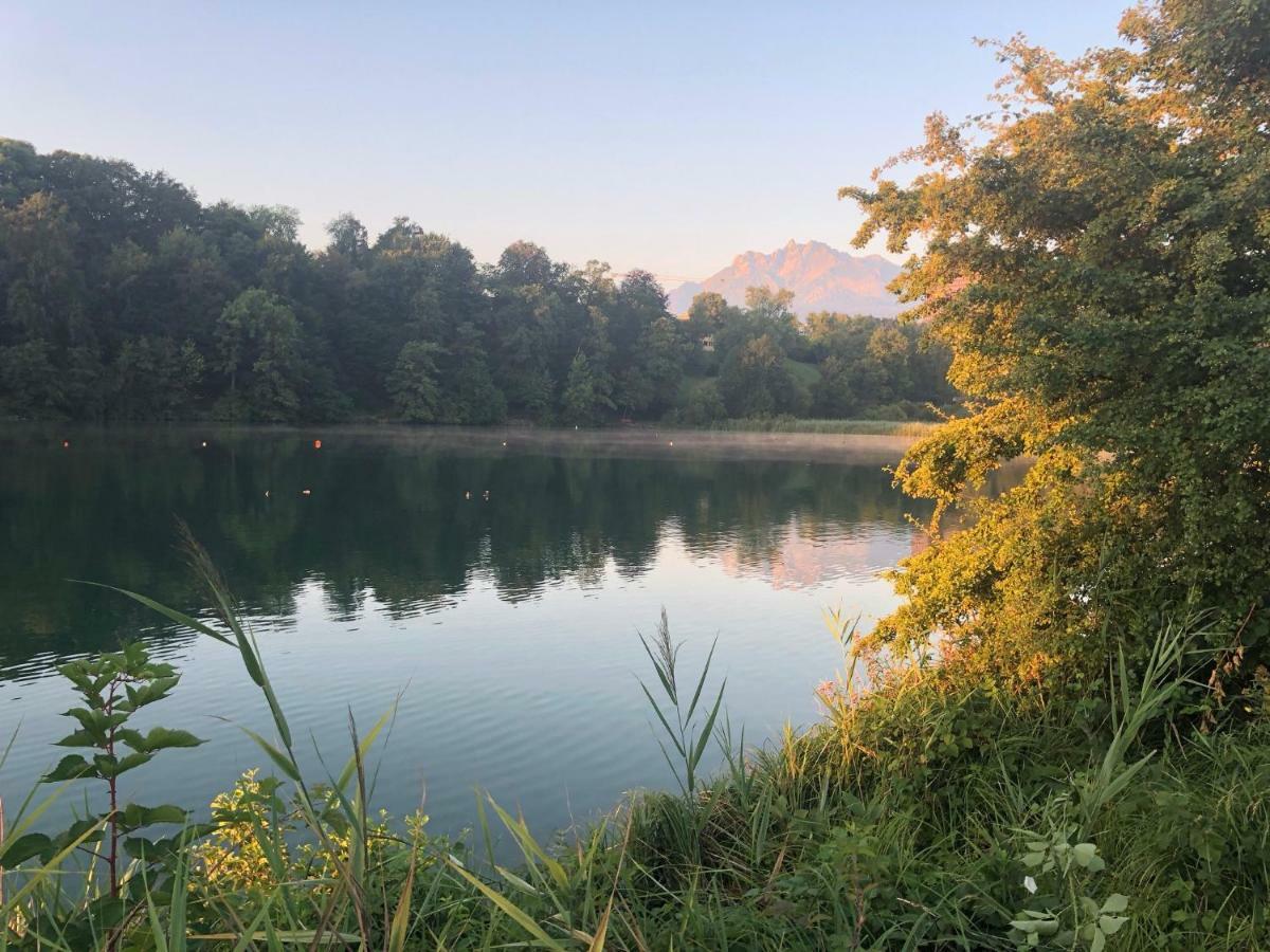 Charming Studio Near Rotsee Lucerne Kitchen/Wifi/Wasching Machine Exteriér fotografie